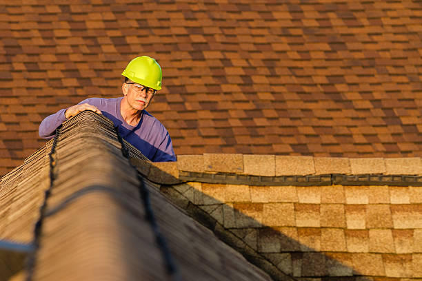 Roof Gutter Cleaning in Cedar Hill, TX